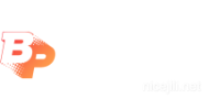BP Payment Partner - Click to Play